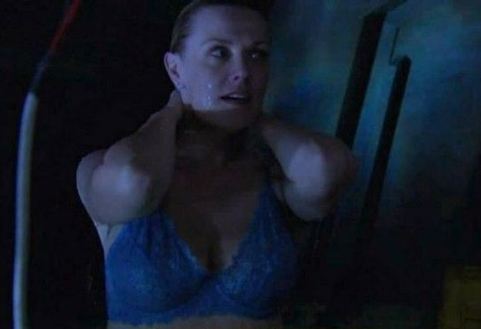 Amanda Tapping nude. Photo - 7