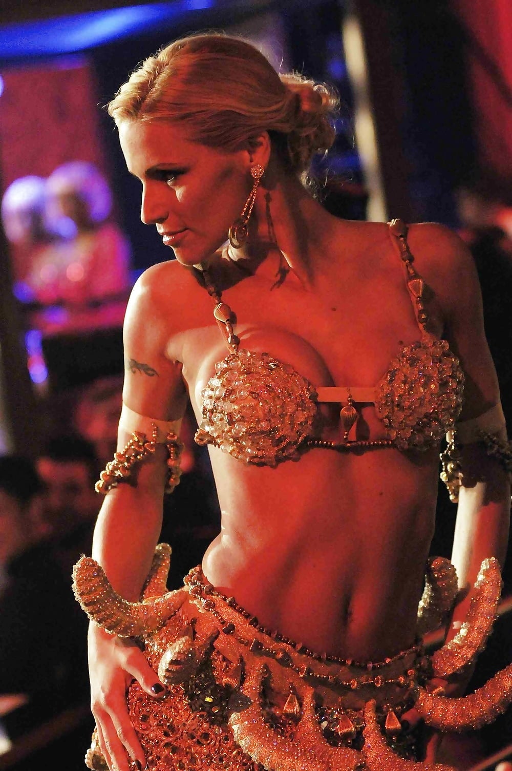 Michelle Hunziker nude. Photo - 8