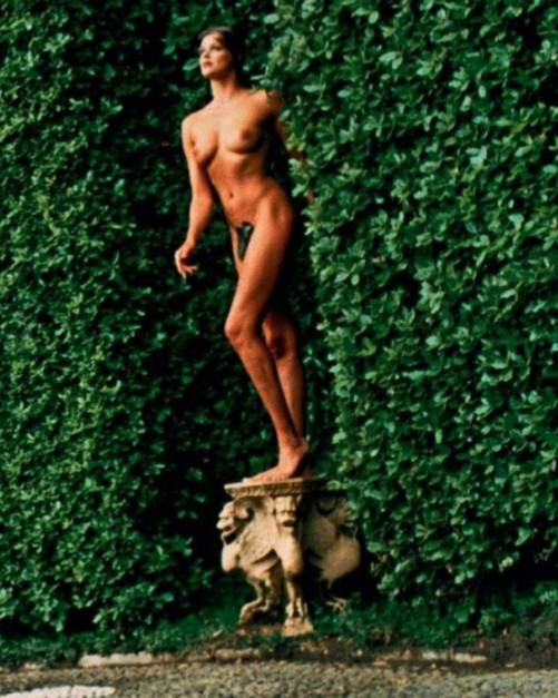 Brigitte Nielsen nude. Photo - 19