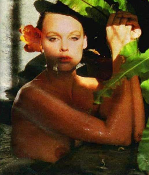 Brigitte Nielsen nude. Photo - 2
