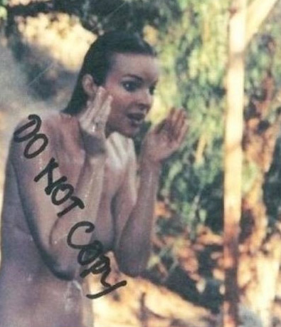 Marcia Cross nude. Photo - 5