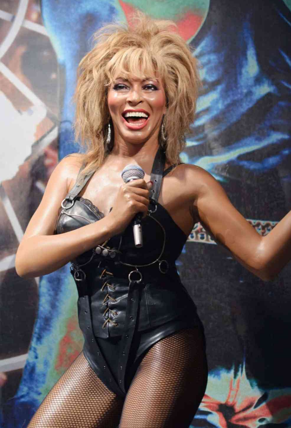 Tina Turner nude. Photo - 19