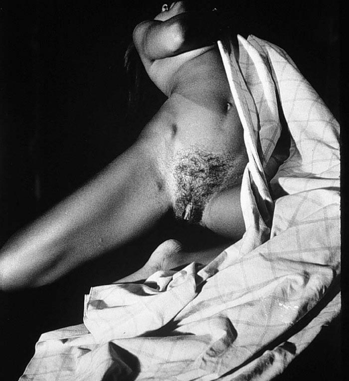 Vanessa Williams nude. Photo - 5